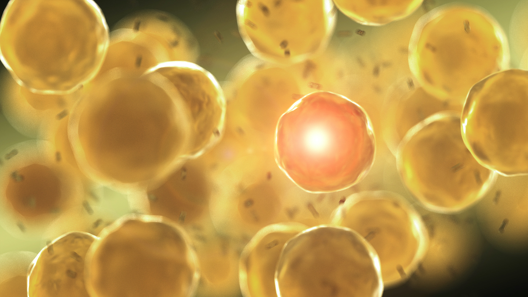 Stylised image of a cell membrane