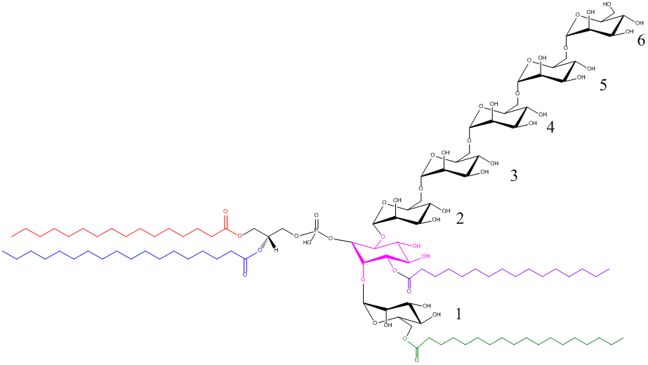 Example Structure