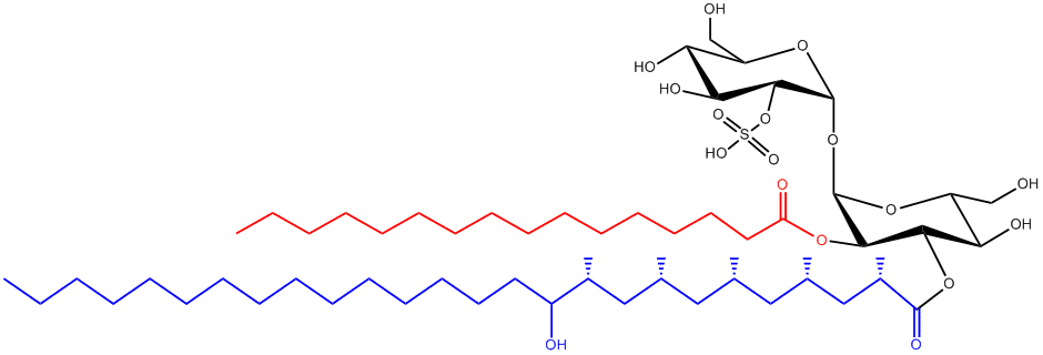 Example Structure