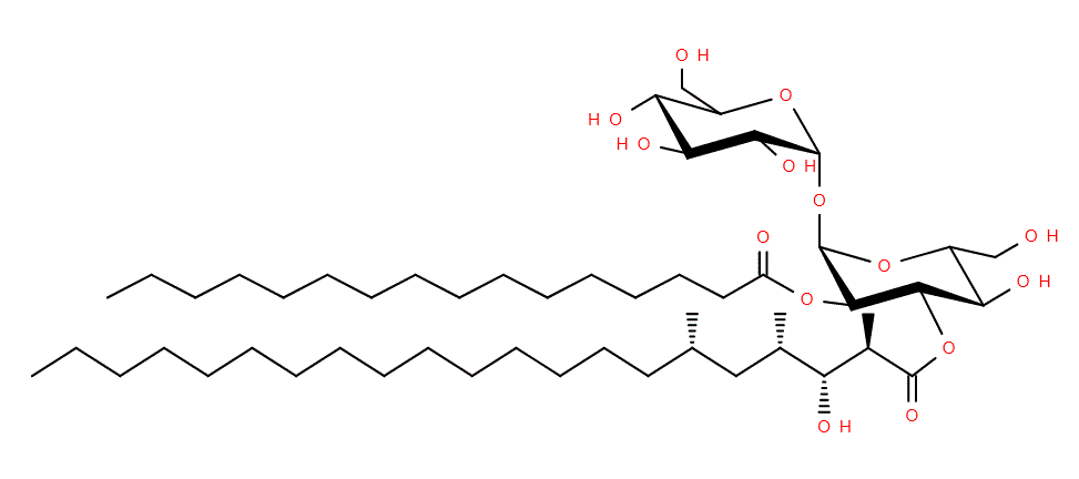 Example Structure