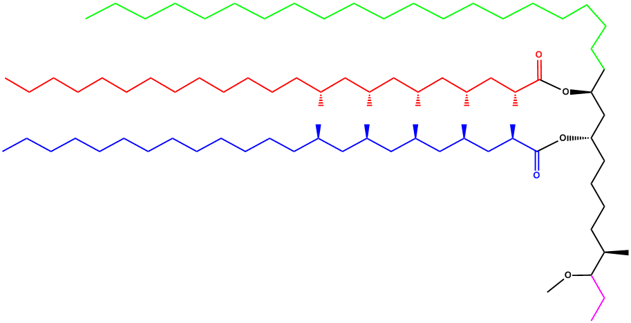 Example Structure