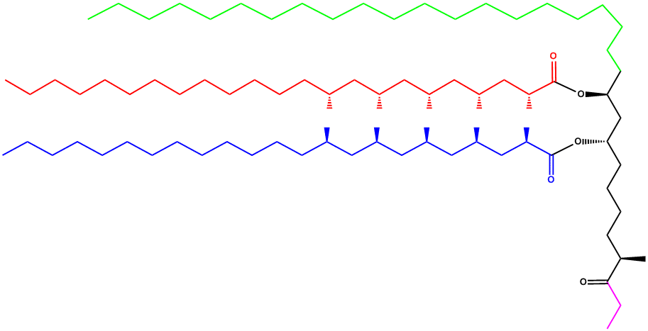 Example Structure