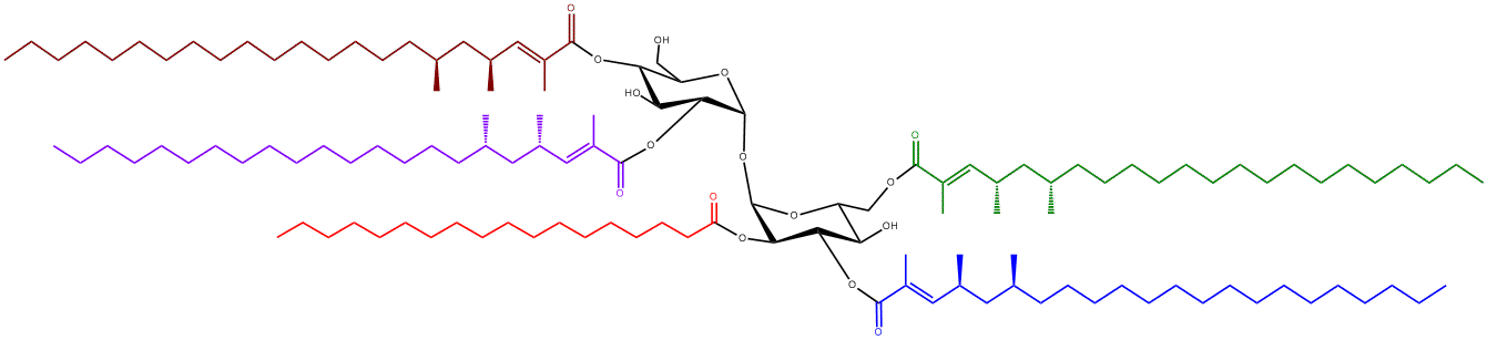 Example Structure